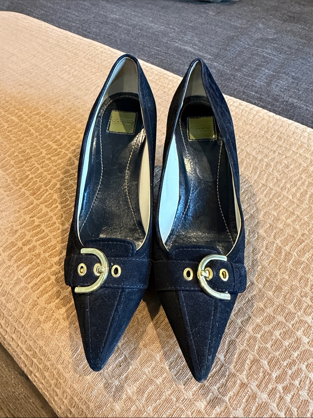 Coach Black Suede Pointed Toe Pumps with Gold Buckle